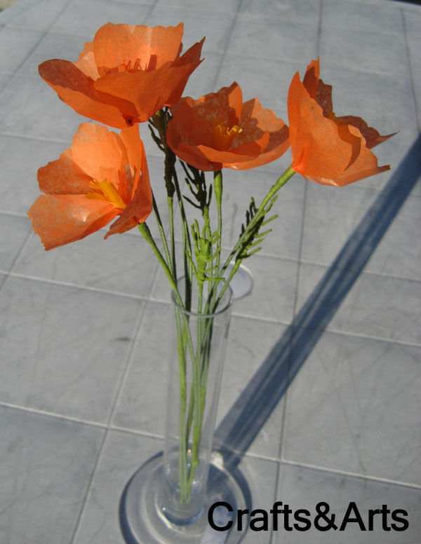 Crafts California Poppies Tissue Paper Flower